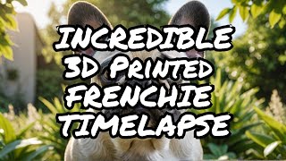 The Most Amazing French Bulldog Timelapse You Will Ever See