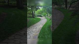 Choose the path 🛣️ #shorts #tiktok #walking #choose #trending #mind #viral #choices #like