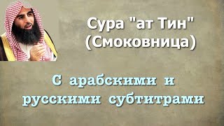 Сура 95 - ат Тин (арабские и русские титры) Мухаммад Люхайдан