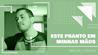 [COVER] Este pranto em minhas mãos | Waldeci Farias