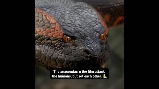 Did you know that for ANACONDA... - #shorts #Short