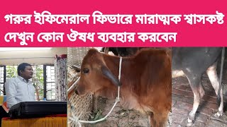 গরুর রোগ এফিমেরাল ফিভার এ মারাত্মক শ্বাসকষ্ট, কোন ঔষধ ব্যবহার করবেন।Ephemeral fever