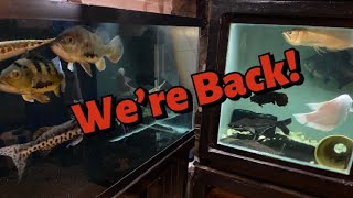 Welcome Back! Life & Fish Update!