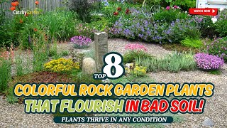 TOP 8 COLORFUL ROCK GARDEN Plants That FLOURISH in BAD Soil! 🌵🌸🌷☀️