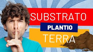 Plantio de tomate| Episódio 1 | Assistam o preparo da terra para poder plantar as mudas de tomate