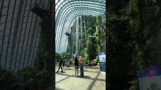 Garden By the Bay |Cloud Forest | Singapore Diaries #shorts #singapore