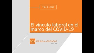 Webinar: El vínculo laboral en el marco del COVID-19