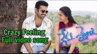 Crazy Feeling Full video song || Nenu Sailaja Movie song ||