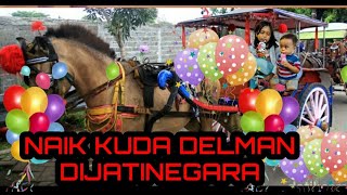 NAIK KUDA DELMAN | LAGU KUDA DELMAN ISTIMEWA || KUDA COKLAT