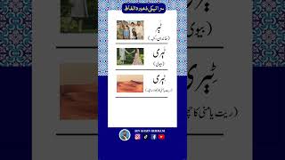 Saraiki Vocab.(32)      #youtubeshorts #shorts #viral #saraiki #سرائیکی #vocabulary