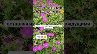 топ 3 знаков зодиака лучшие в поцелуях 😘