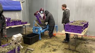 Biomass Packer In Action