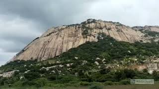 Greenery , green , mountain, natural