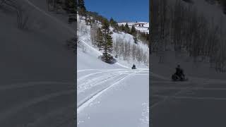 11 year old riding snowmobile! #snowmobile #sledders #sleds #polaris #snowmobiling #shorts