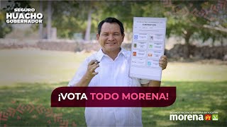 Vota todo morena