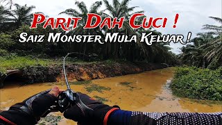 HARUAN SAIZ MONSTER MULA KELUAR BILA SARANG DIGANGGU‼️MENGGASAK HARUAN DI PARIT BARU CUCI .