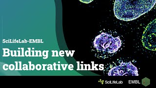 SciLifeLab-EMBL: Building new collaborative links