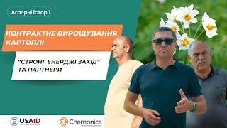 Контрактне вирощування картоплі: можливості для агровиробників