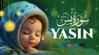 Surah Yasin (Yaseen) سورة يس | This Will Touch Your Heart and Soul | Qari Tajul Islam