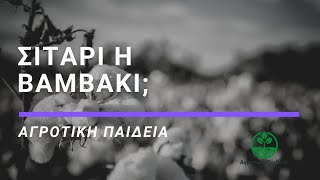 Σιτάρι ή βαμβάκι;  - Αγροτική παιδεία - S1E5