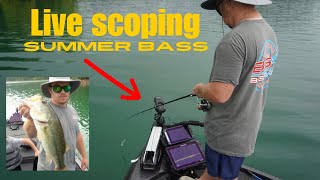 Live scoping summer bass on Norris Lake.