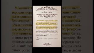 Читаем вместе с Петровичем басни Эзопа (165. Мыши и ласки) актуально во все времена!