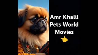 برجاء الاشتراك في القناة الجديدة Amr Khalil Pets World Movies #dog #pets #animals