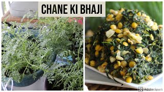 How to Make Chane Ki Bhaji Ki Subji / चने की भाजी / Chana Saag Recipe / chane ki bhaji ki recipe