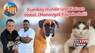 Kumköy Hunde und Katzen Hotel. (Manavgat köpek oteli)