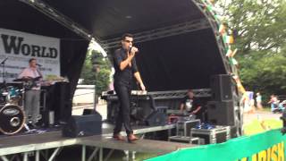 John McNicholl singing Hard Times at The 20th Crawley Irish Festival 30/08/15