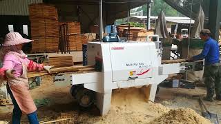 Round Log Multi Rip Saw For Small Log 50mm to 150mm