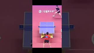 Fan Zhendong vs Lin Gaoyuan