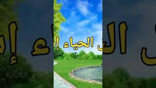 كلمات في القمة 29