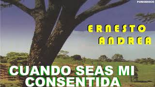 Cuando Seas Mi Consentida  -  Ernesto Andrea