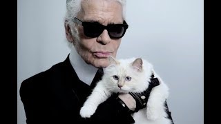 Карл Лагерфельд кошка Шупетт наследница 2019★Karl Lagerfeld cat Chupett heiress 2019