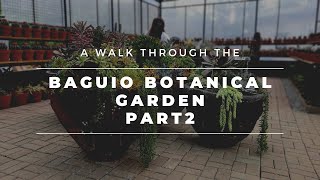 A Walk Through the Baguio Botanical Garden Part 2 |Renovated| #HomeGardenRemedies #cactus&succulents