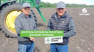 Контроль бур'янів на кукурудзі. Вносимо гербіцид АСТРЕЛ МАКС