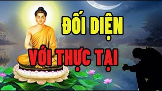 Nghe lời phật dạy "Luôn đối diện với thực tại" lòng luôn thanh thản, cuộc sống sẽ bình an #Phật Pháp