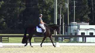 First Impression and Marsha Hartford Sapp L1-1 at Wellington Classic Dressage at Florida Horse Park