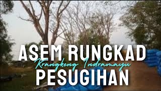 Asem Rungkad Kr4ngk3ng Indr4m4yu Tempat Pesugihan Yang Paling Aneh di Dunia @buyutcerbonchannel