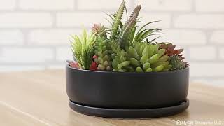 8 Inch Modern Round Black Ceramic Cactus Succulent Planter Bowl with Removable Saucer Reviews