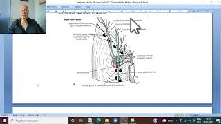 Musculo-skeletal Module ,Anatomy of Lower Limb in Arabic 32 ( Femoral artery , part 2 )