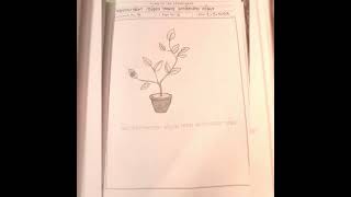 SSC 2023 Biology practical solution #youtubeshorts #sscbiology #practical #solution #ssc