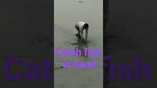 catch fish by hand //  fish catch in hand // #youtubeshortviral