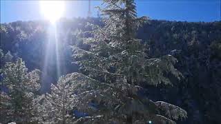 24-12-2021 troodos Cyprus snow 1126