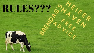 Heifer Haven - Free Advice - If you could make a rule and everybody follow it, what would it be?