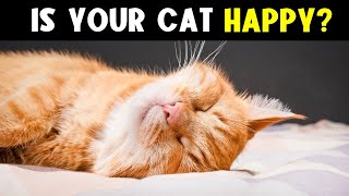 11 SIGNS Your CAT is HAPPIER Than You Think! 😸 (Pay attention to #7)