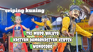 criping kuning//TRI MUDO WALUYO//Kasiyan,damarkasiyan kertek//Wonosobo