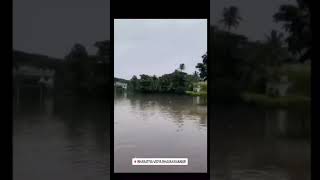 Kerala Rain Updates 2023 | Kannur #flood #rain