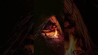 98🔥Как выжить в лесу без снаряжения #выживание #bushcraft #лайфхаки